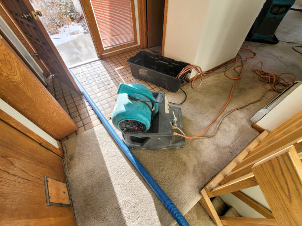 Best 24/7 water damage repair  in Salisbury, MD