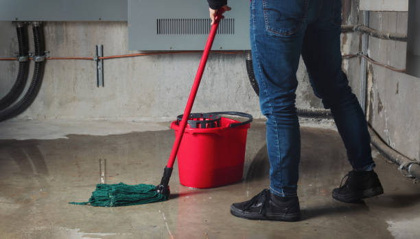 Best Water damage cleanup near me  in Salisbury, MD