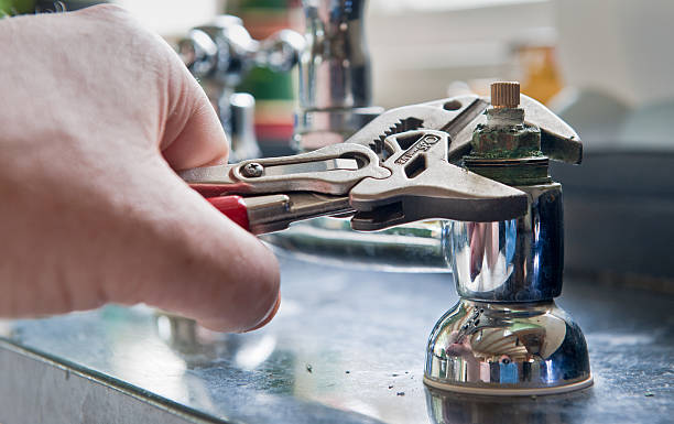 Best Professional water damage repair  in Salisbury, MD