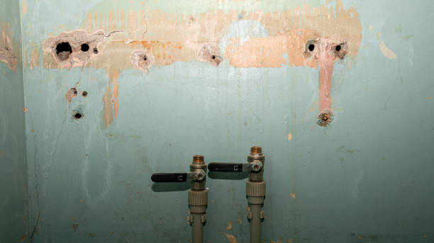 Best Carpet water damage restoration  in Salisbury, MD