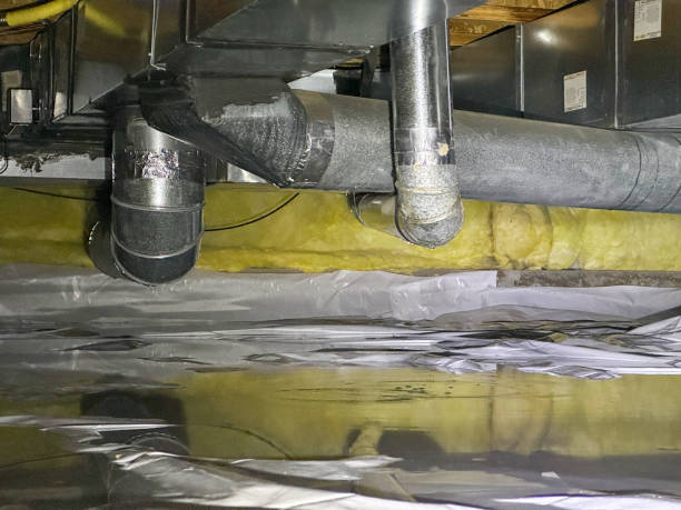 Best Water damage mitigation services  in Salisbury, MD